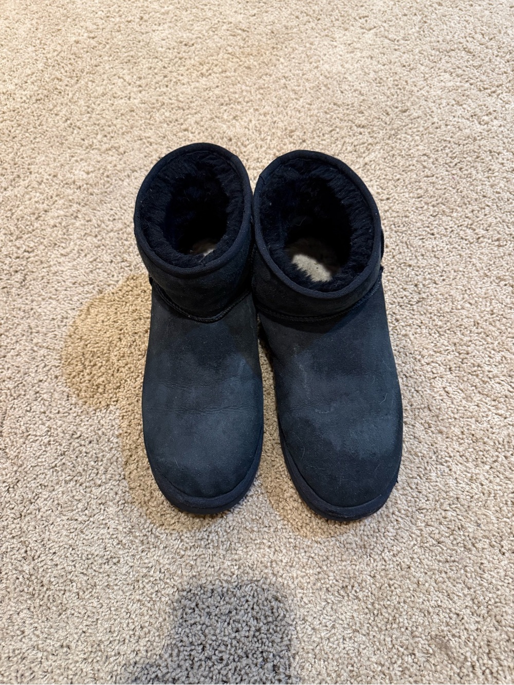 UGG Black Short Suede Shearling Booties